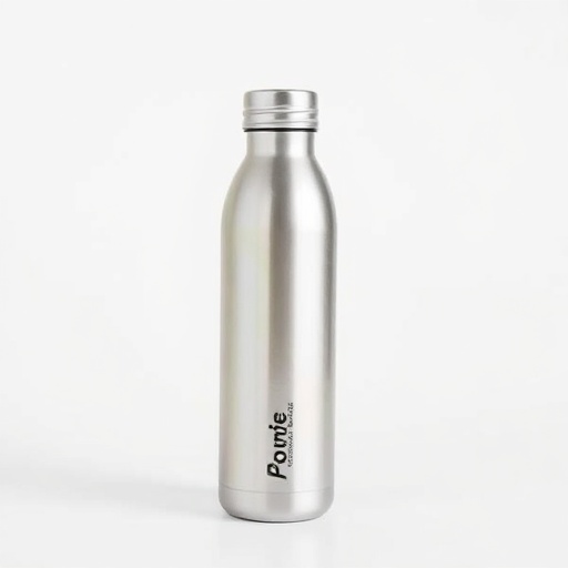 Stainless Steel Bottle